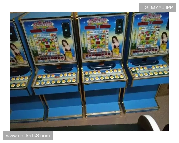 押庄龙虎游戏的未来发展方向与创新玩法探索