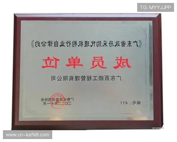 凯发K8会员等级划分及升级条件详细介绍