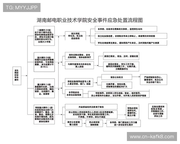 K8网站登录会员登录流程详解帮助用户快速安全登录指南